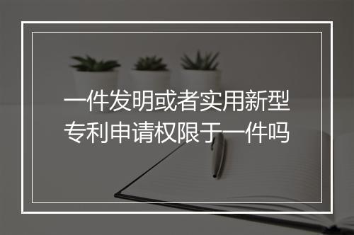 一件发明或者实用新型专利申请权限于一件吗