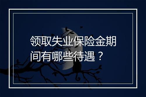 领取失业保险金期间有哪些待遇？