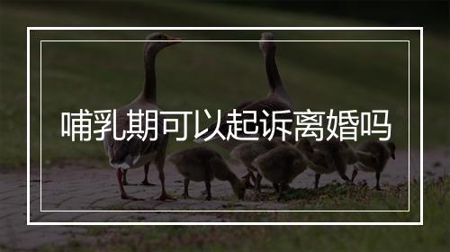 哺乳期可以起诉离婚吗