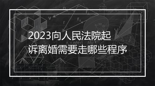 2023向人民法院起诉离婚需要走哪些程序