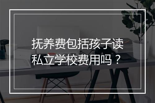 抚养费包括孩子读私立学校费用吗？