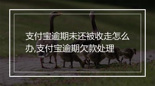 支付宝逾期未还被收走怎么办,支付宝逾期欠款处理