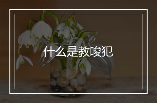 什么是教唆犯