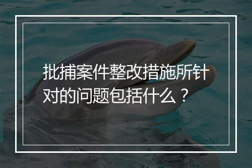 批捕案件整改措施所针对的问题包括什么？