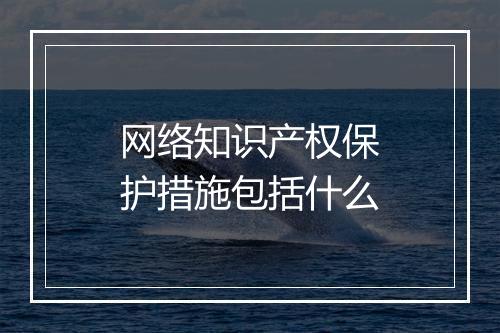 网络知识产权保护措施包括什么