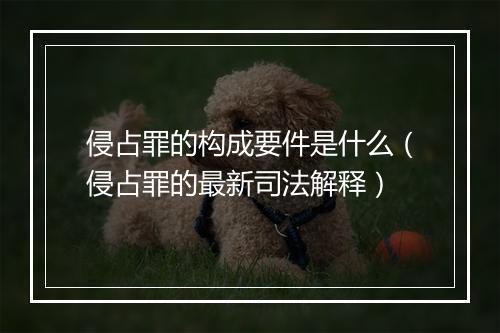 侵占罪的构成要件是什么（侵占罪的最新司法解释）