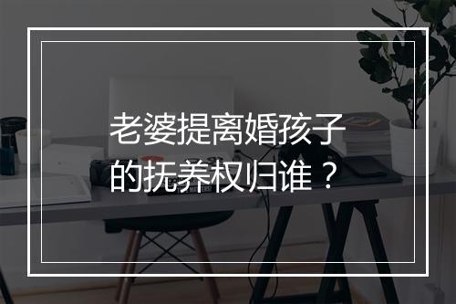 老婆提离婚孩子的抚养权归谁？