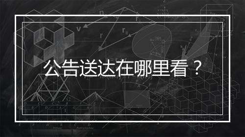 公告送达在哪里看？
