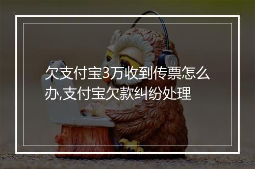 欠支付宝3万收到传票怎么办,支付宝欠款纠纷处理