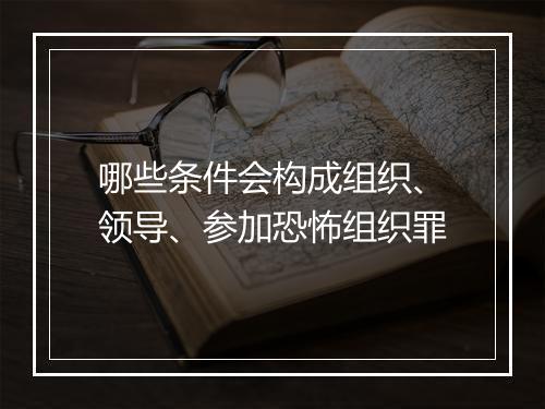 哪些条件会构成组织、领导、参加恐怖组织罪