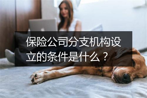 保险公司分支机构设立的条件是什么？