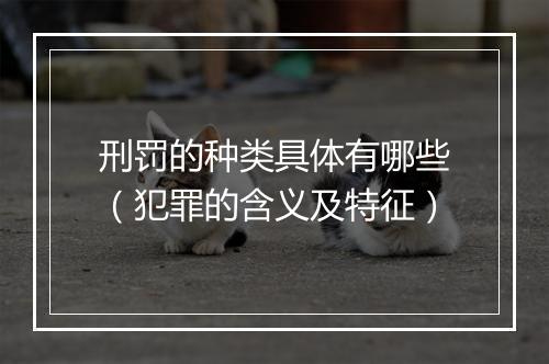 刑罚的种类具体有哪些（犯罪的含义及特征）