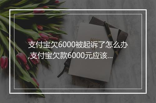 支付宝欠6000被起诉了怎么办,支付宝欠款6000元应该如何处理
