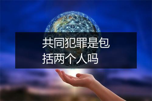 共同犯罪是包括两个人吗