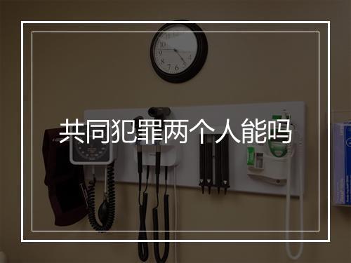 共同犯罪两个人能吗