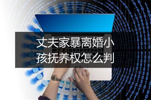丈夫家暴离婚小孩抚养权怎么判
