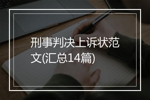 刑事判决上诉状范文(汇总14篇)