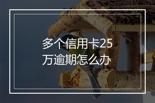 多个信用卡25万逾期怎么办