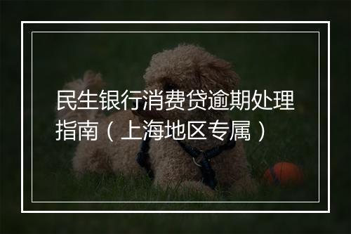 民生银行消费贷逾期处理指南（上海地区专属）