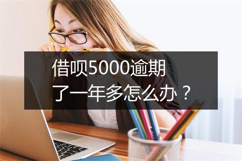 借呗5000逾期了一年多怎么办？
