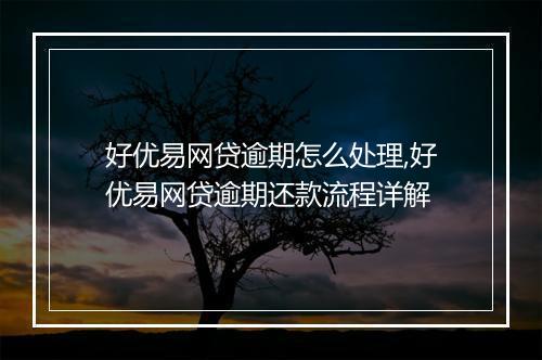 好优易网贷逾期怎么处理,好优易网贷逾期还款流程详解