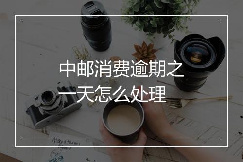 中邮消费逾期之一天怎么处理
