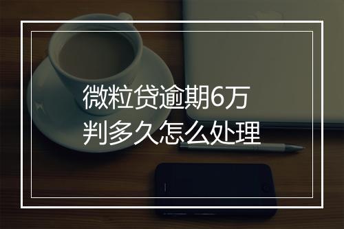 微粒贷逾期6万判多久怎么处理