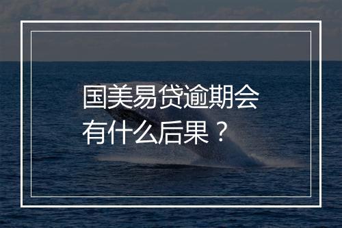 国美易贷逾期会有什么后果？
