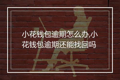 小花钱包逾期怎么办,小花钱包逾期还能找回吗