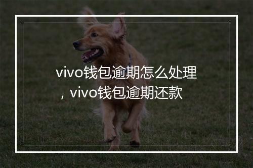 vivo钱包逾期怎么处理，vivo钱包逾期还款