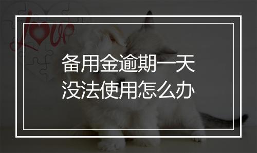 备用金逾期一天没法使用怎么办