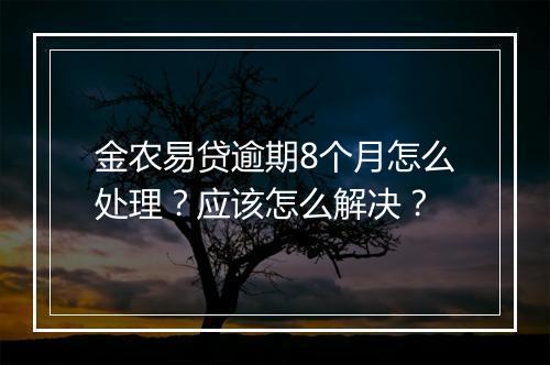 金农易贷逾期8个月怎么处理？应该怎么解决？