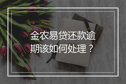 金农易贷还款逾期该如何处理？