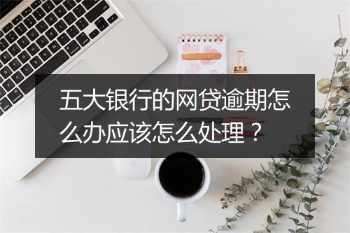 五大银行的网贷逾期怎么办应该怎么处理？