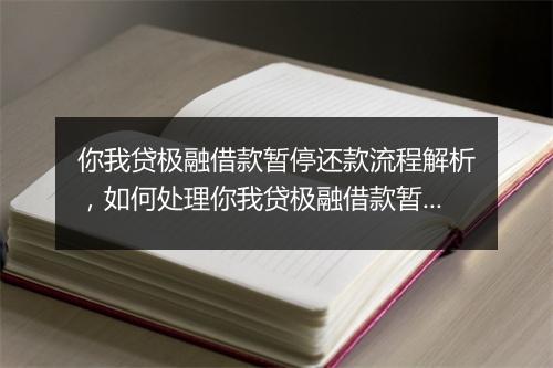 你我贷极融借款暂停还款流程解析，如何处理你我贷极融借款暂停还款问题