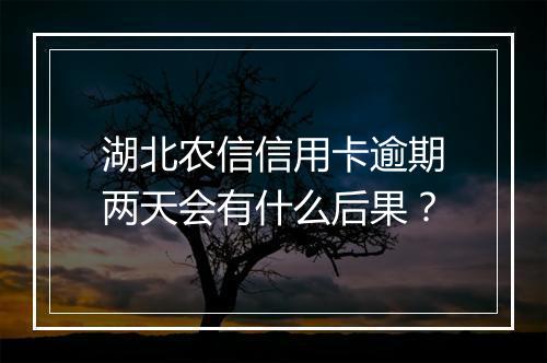 湖北农信信用卡逾期两天会有什么后果？