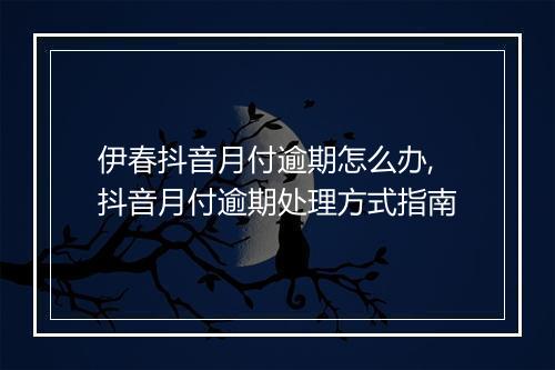 伊春抖音月付逾期怎么办,抖音月付逾期处理方式指南