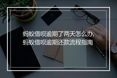 蚂蚁借呗逾期了两天怎么办,蚂蚁借呗逾期还款流程指南