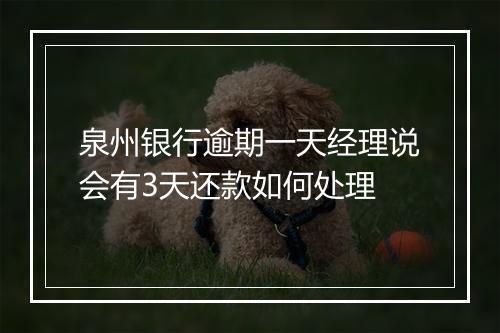 泉州银行逾期一天经理说会有3天还款如何处理