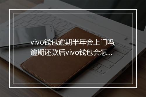 vivo钱包逾期半年会上门吗,逾期还款后vivo钱包会怎么处理