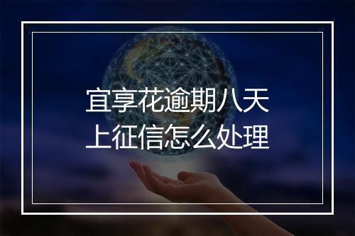 宜享花逾期八天上征信怎么处理