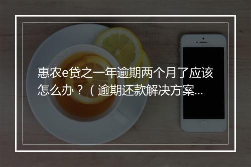 惠农e贷之一年逾期两个月了应该怎么办？（逾期还款解决方案）