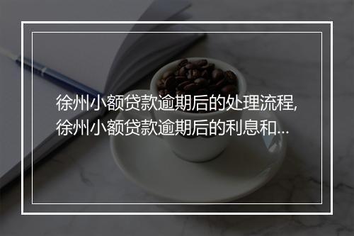 徐州小额贷款逾期后的处理流程,徐州小额贷款逾期后的利息和罚款情况