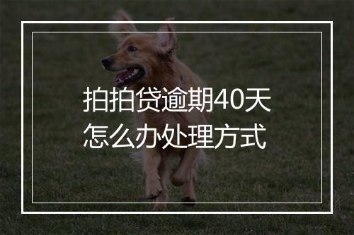 拍拍贷逾期40天怎么办处理方式