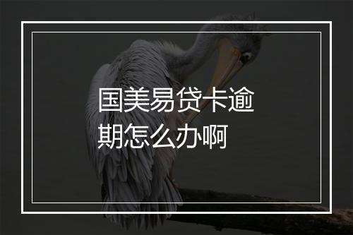 国美易贷卡逾期怎么办啊