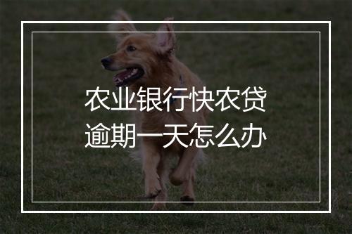 农业银行快农贷逾期一天怎么办