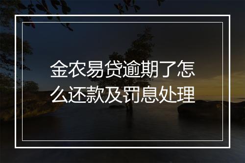 金农易贷逾期了怎么还款及罚息处理