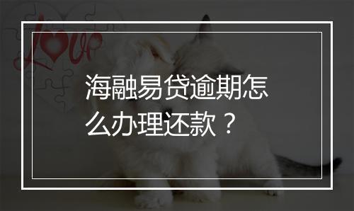 海融易贷逾期怎么办理还款？