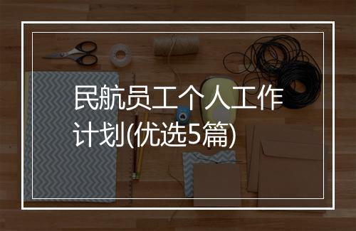 民航员工个人工作计划(优选5篇)