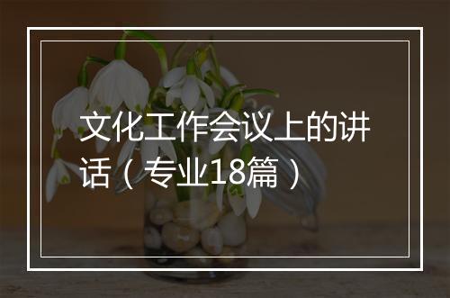 文化工作会议上的讲话（专业18篇）
